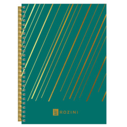 Cuaderno Rozini A4 T/D X90 Cuadriculado Direttore 147