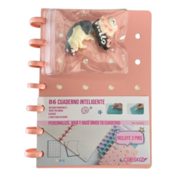 Cuaderno Inteligente 12.5x17.5 80hs Ray + 3pin Ck852