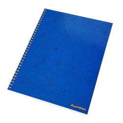 Cuaderno Asamblea 21x27 T/D Horiz 60h Ray Azul 250001