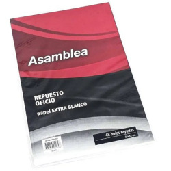 Repuesto Asamblea Xxi Oficio X48hj Cuadriculado 132928