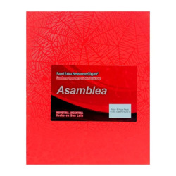 Cuaderno Asamblea T/D 19x23.5 98 Ray Arana Rojo 11417