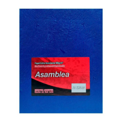 Cuaderno Asamblea T/D 19x23.5 98 Ray Arana Azul 11415
