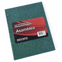 Cuaderno Asamblea T/D 19x23.5 98 Ray Arana Verde 11417